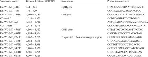 Sequencing primers and their locations in the complete mitochondrial ... 