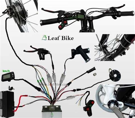 Scooter Wiring Diagram Electrical System