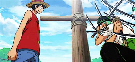 Luffy And Zoro Fighting