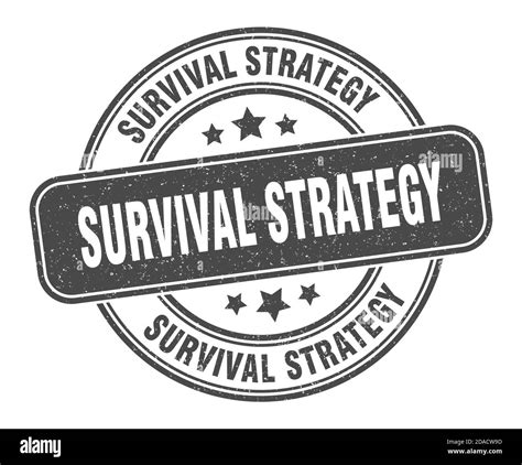 Survival Strategy Stamp Survival Strategy Sign Round Grunge Label Stock Vector Image And Art Alamy