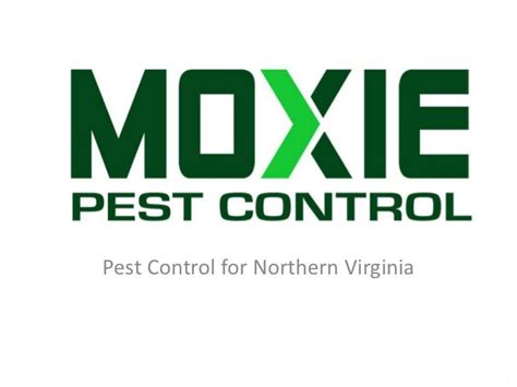 Moxie Pest Control