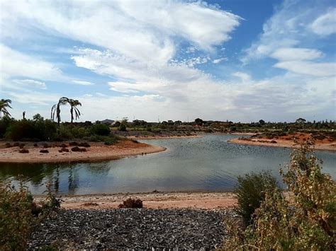 Whyalla Wetlands Updated 2020 All You Need To Know Before You Go With