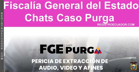 Chats Caso Purga Fiscal A General Del Ecuador