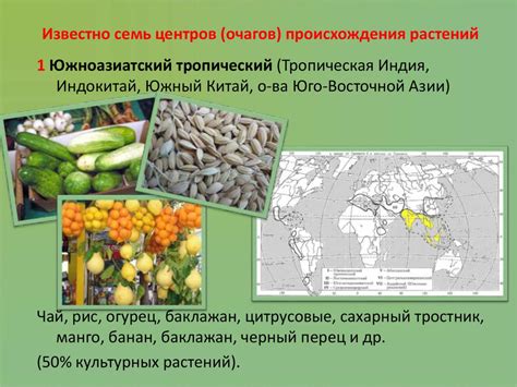 Многообразие и происхождение культурных растений - презентация онлайн