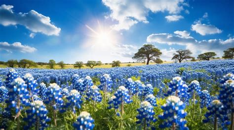 Premium AI Image | Bluebonnets Field