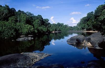 The Central Suriname Nature Reserve : SURINAME Travel Tourism World ...