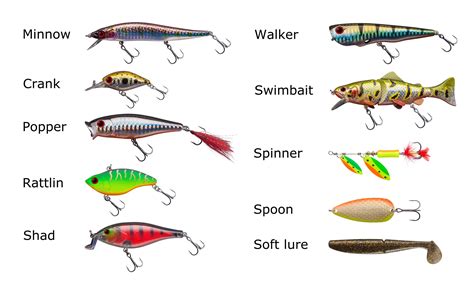 Freshwater Bait Freshwater Fishing Basics Fishmaster Blog