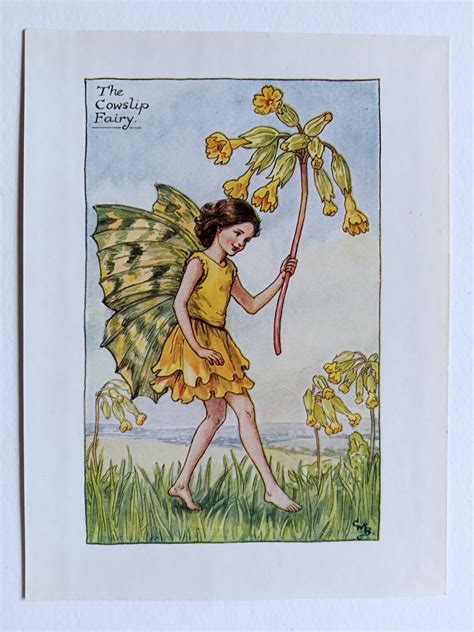 Cowslip Flower Fairy Print Flower Fairy Prints