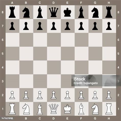 Vector Chess Board Start Positions Stock Illustration - Download Image ...