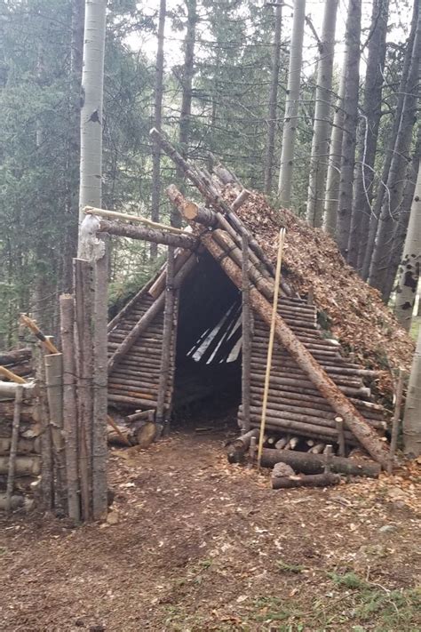 Survival Shelter Made Of Sticks And Logs Wilderness Survival Basics