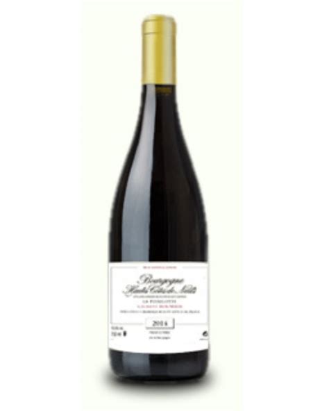 Laurent Roumier Bourgogne Hautes Cotes De Nuits Rouge La Poirelotte