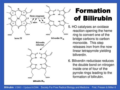 Ppt Bilirubin Friend Or Foe Powerpoint Presentation Free Download