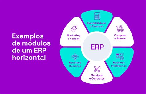 Software de gestão o que é principais tipos e vantagens 2025