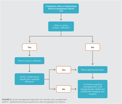 Uroabdomen: Approach and Management