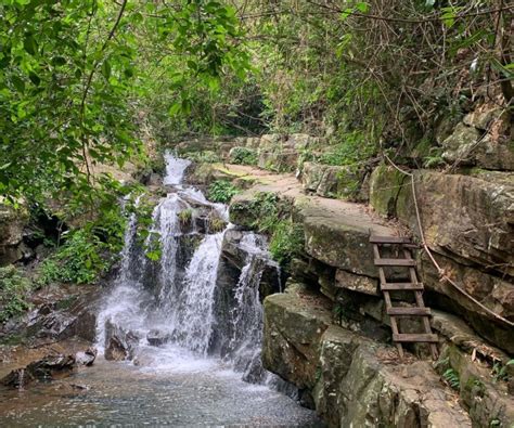 Phong Nha Botanic Garden And Thien Duong Paradise Cave Tour