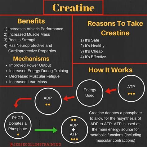 Types and Benefits of Creatine - Trainerize.me