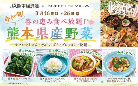 【今が旬！熊本県産野菜が食べ放題！】二子玉川の隠れ家的ブッフェ『ブッフェ ザ ヴィラ』にて“美味しい”春の訪れを堪能しませんか？今が旬の『熊本