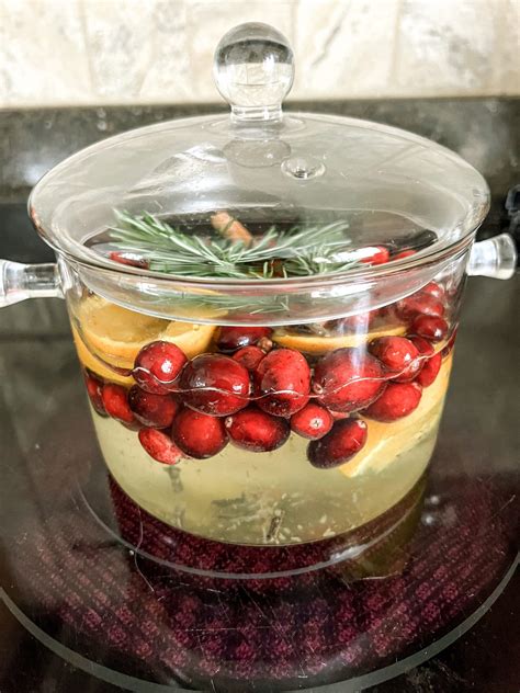 DIY Simmer Pot Gift - Our Tiny Nest