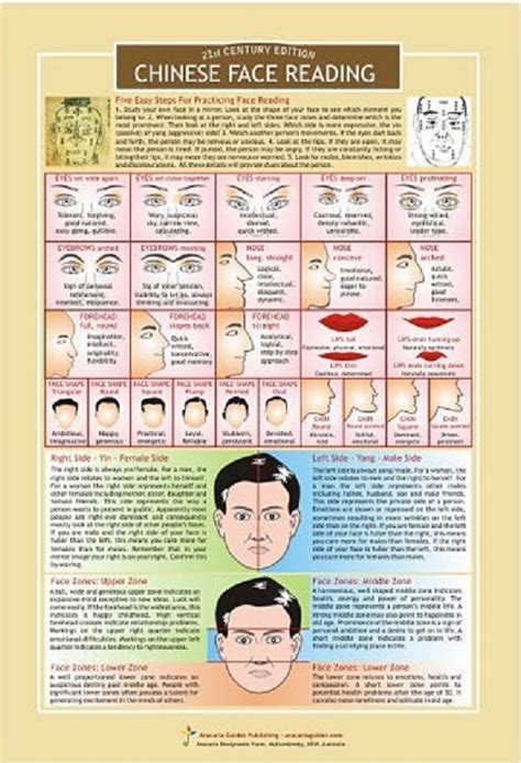 Physiognomy - Chinese Face Reading Chart Chinese Face Map, Chinese Face ...