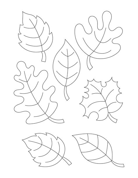 Leaf Coloring Pages for Kids 10106988 Vector Art at Vecteezy