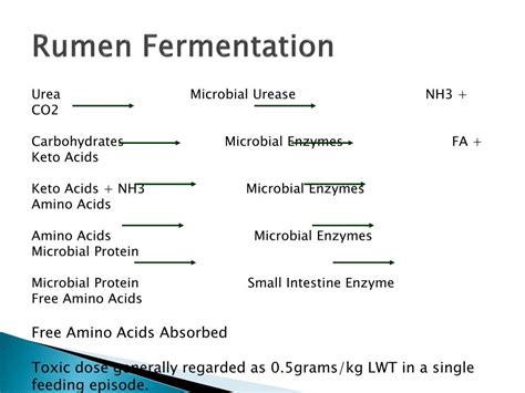 PPT - Rumen Function PowerPoint Presentation, free download - ID:6651628