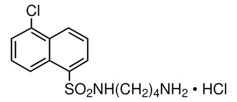 W-13, Hydrochloride