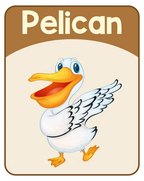 Tarjeta educativa de palabras en inglés de pelican Vector Gratis