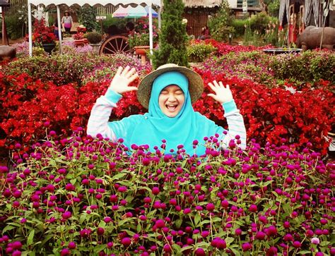 Taman Bunga Begonia yang Menarik untuk Dikunjungi | Wisata Bandung