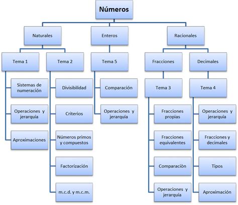 Eso 1 Esquema Números