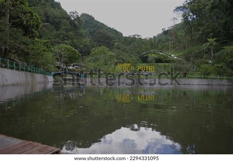 tlogo putri images stock   objects vectors