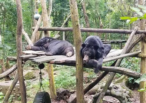 thailand cambodia laos vietnam   days asia  package