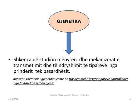 Ligjet E Mendelit PPT