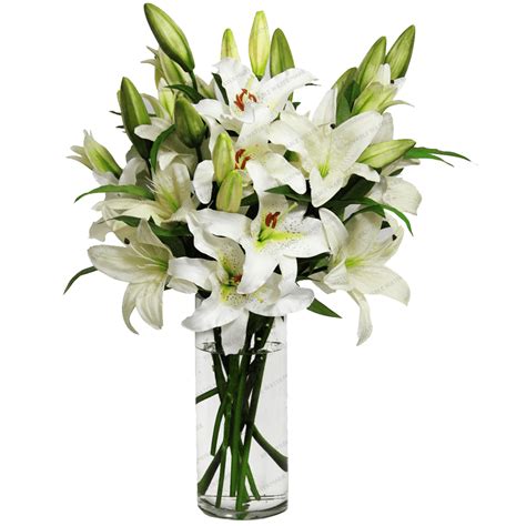 Flowers Vase Png