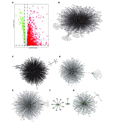 Interactions And Correlations Between M6a Rna Regulators And Lncrnas