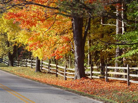 Toledo Fall Foliage The Mother List