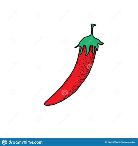 Mexican Food Jalapeno Hand Drawn Vector Illustration In Doodle Style