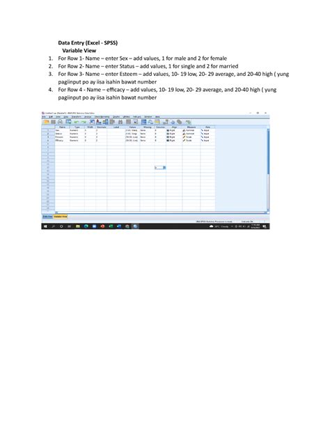 Spss Data Entry Hot Sex Picture