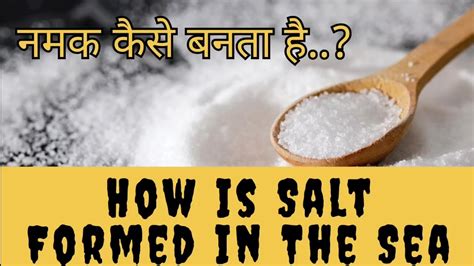 समुद्र से नमक कैसे बनता है Salt Making Process Educational Viral Youtube