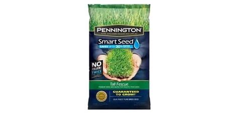 Best Grass Seed For Virginia Types And Brands Turfandtill