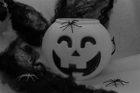 Halloween Pumpkin Spider - Free photo on Pixabay