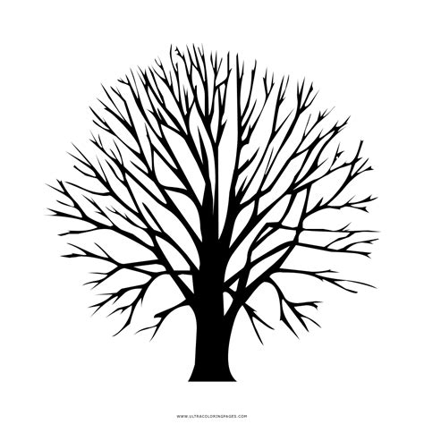 Albero Spoglio Disegni Da Colorare Ultra Coloring Pages