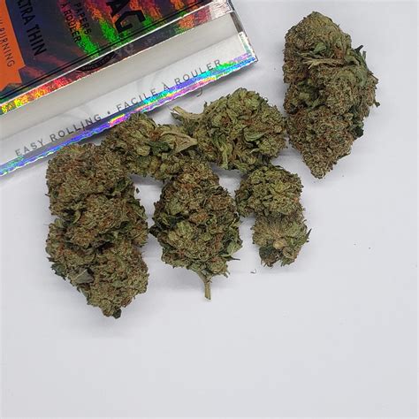 Buy Super Silver Haze Strain Sativa Hybrid Bud Galaxy Mj Fraser Bud