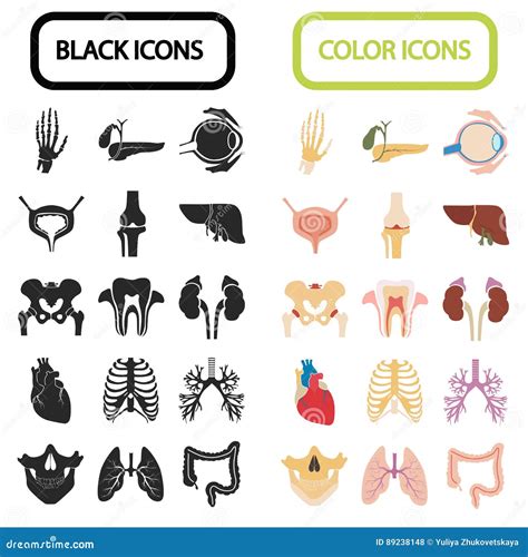 Anatomic Cartoons Illustrations And Vector Stock Images 2994 Pictures