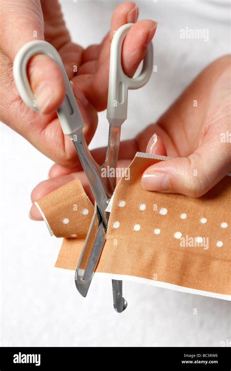 Plaster Cutting To Apply The Plaster To A Little Wound Stock Photo Alamy