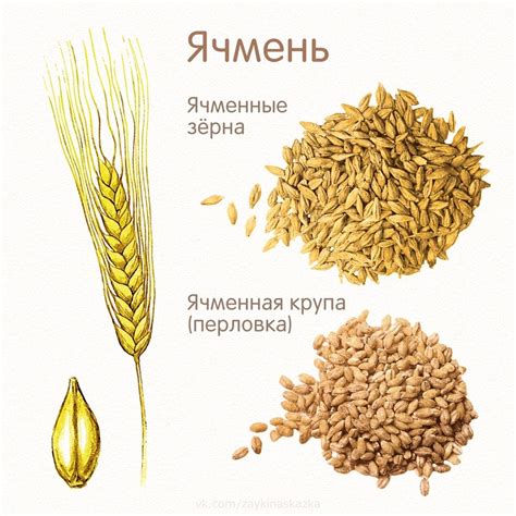 ЗЛАКИ В КАРТИНКАХ Обучающие кapточки.. | Зайка Развивайка | ВКонтакте ...