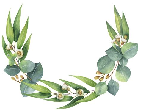 Download Transparent Roseta De Hojas Verdes Eucalyptus Wreath Clip