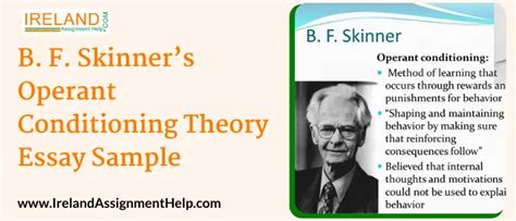 B F Skinner S Operant Conditioning Theory Ireland Essay Sample