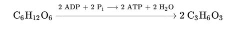 Lactic Acid Fermentation Equation