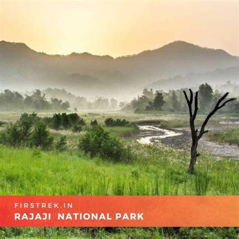 Rajaji National Park