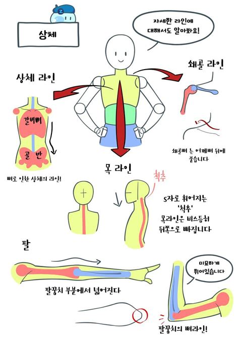 1분강좌 아홉번째 인체드로잉 上 편 입니다 강좌에 사용되는 예시 그림들은 블루젯 캐릭터강좌에서 보실 수 있습니다 Pic